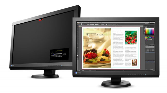 Click to enlarge Eizo CX240