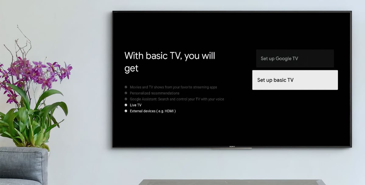 Google TV - Basic TV