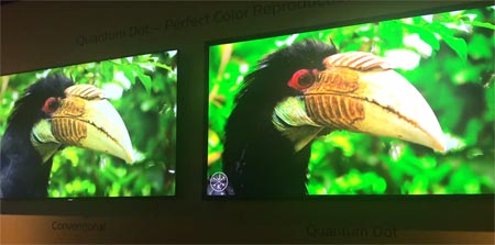 Philips quantum dot TV