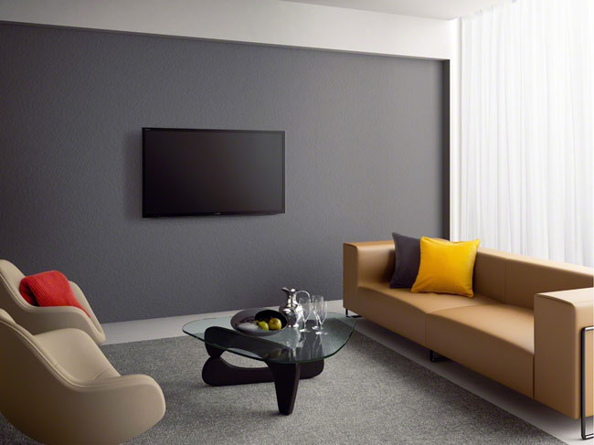 Click to enlarge Sony HX750