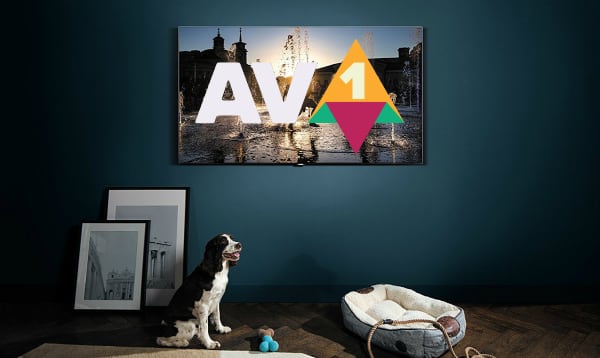 Samsung AV1