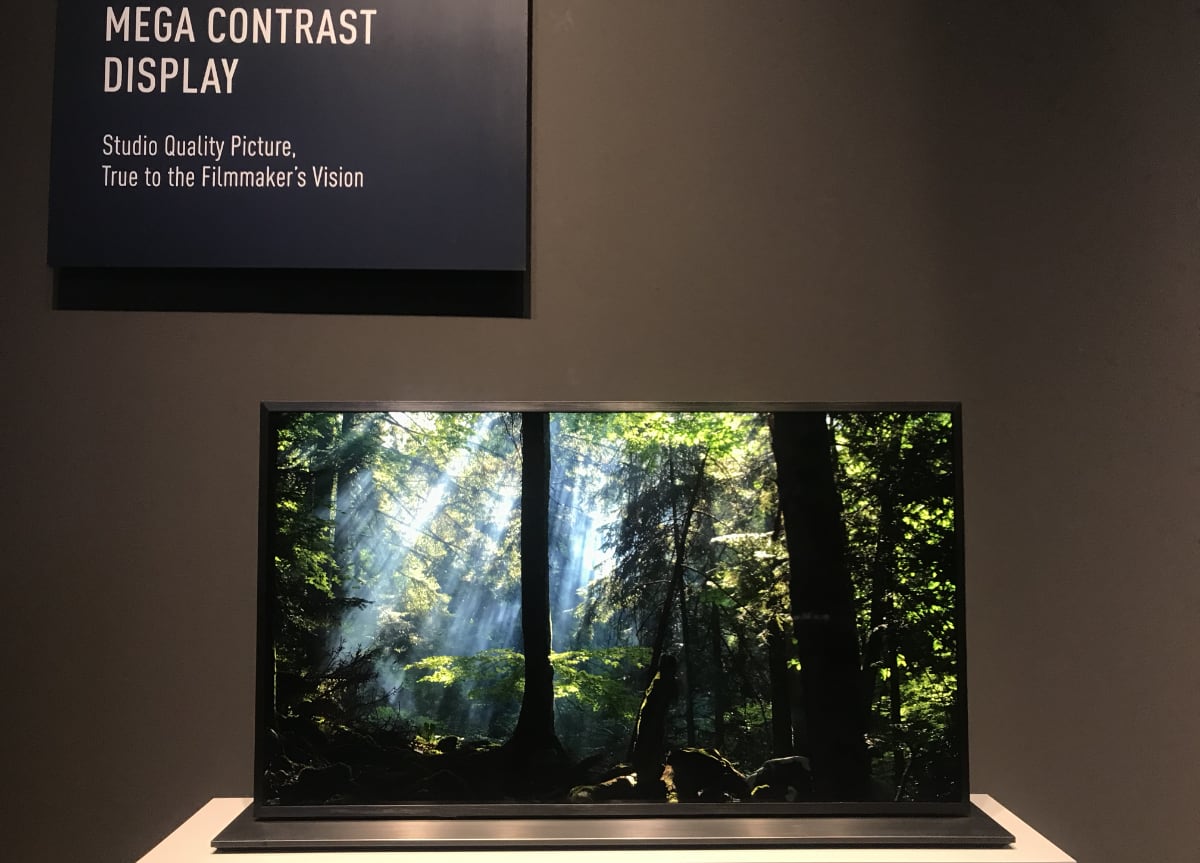 Panasonic MegaCon dual layer LCD